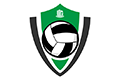 Volleyball Match and Set Betting on SG777 sportsbook